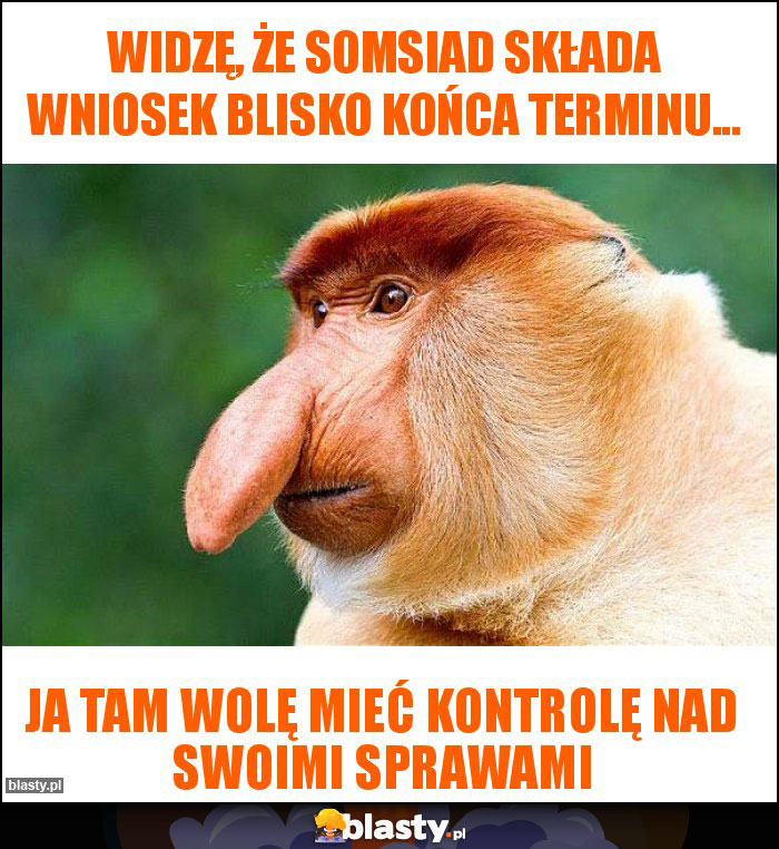 Widzę, że somsiad składa wniosek blisko końca terminu... Widzę, że somsiad składa wniosek blisko końca terminu...
