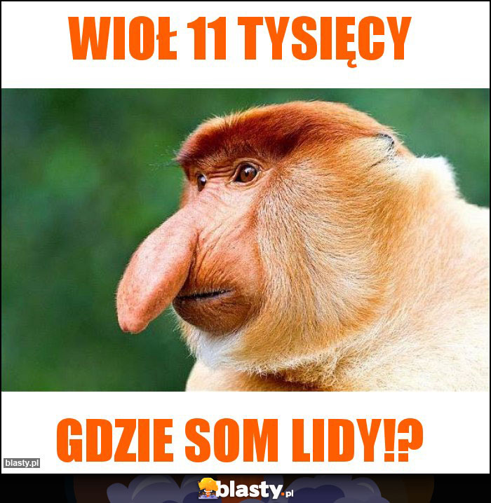 Wioł 11 tysięcy Wioł 11 tysięcy