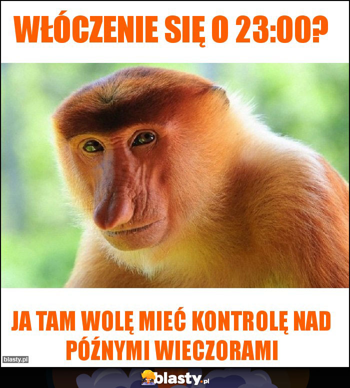 Włóczenie się o 23:00? Włóczenie się o 23:00?