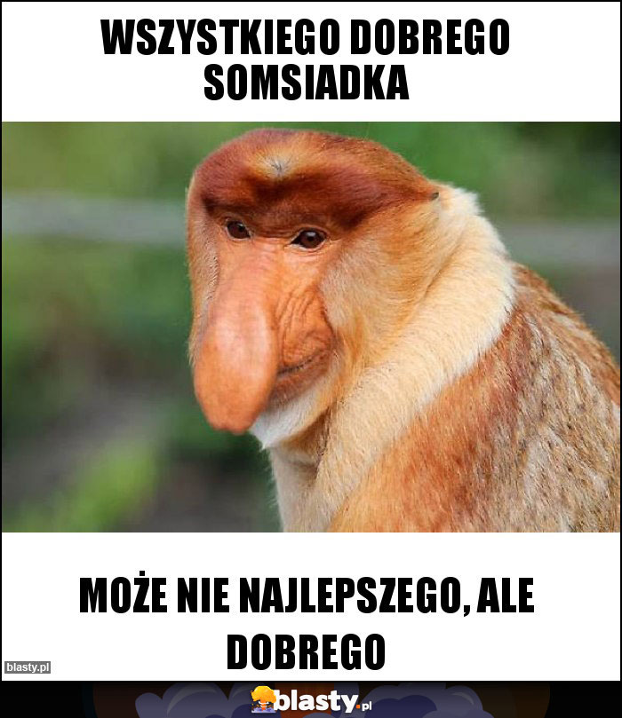 wszystkiego dobrego somsiadka wszystkiego dobrego somsiadka