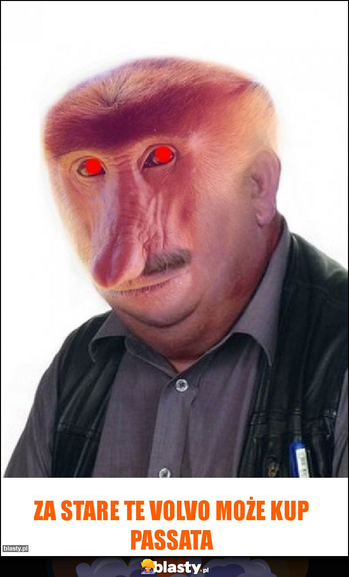 Za stare te Volvo może kup Passata Za stare te Volvo może kup Passata