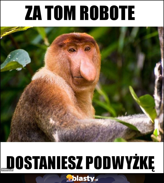 ZA TOM ROBOTE ZA TOM ROBOTE