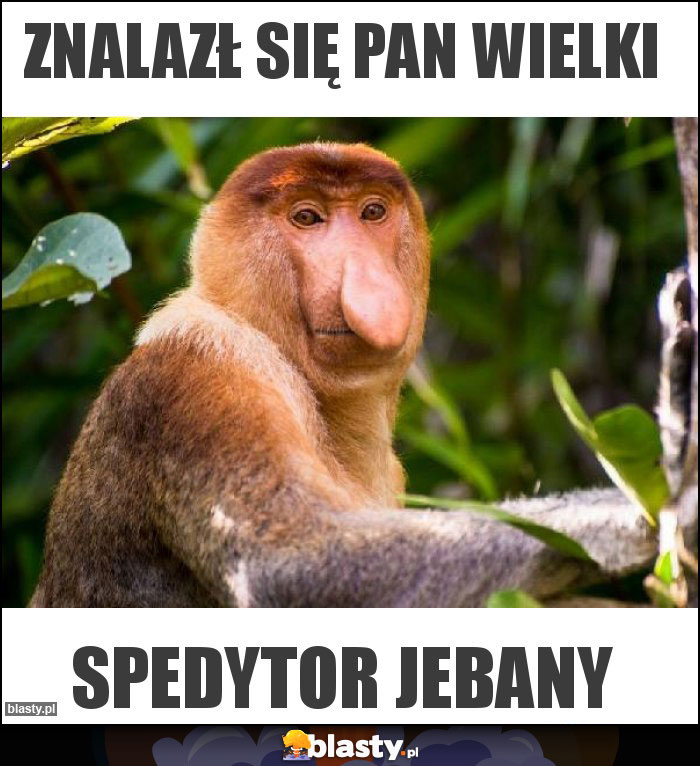 Znalazł się Pan wielki Znalazł się Pan wielki