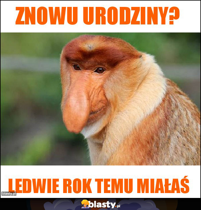ZNOWU URODZINY? ZNOWU URODZINY?