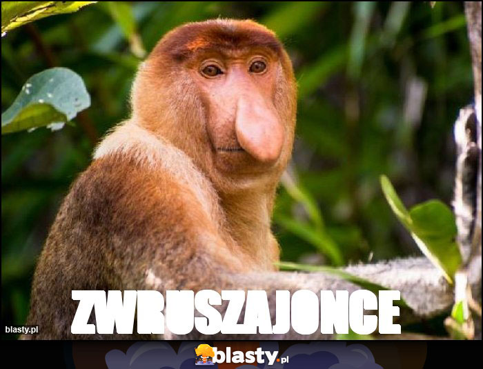 Zwruszajonce