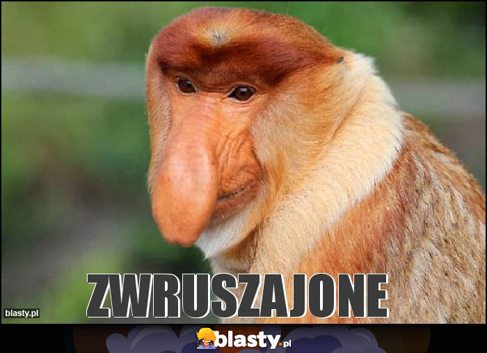 Zwruszajone