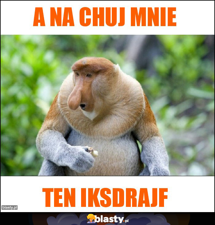 a na chuj mnie a na chuj mnie