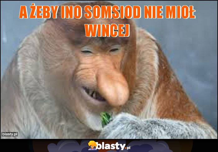 A ŻEBY INO SOMSIOD NIE MIOŁ WINCEJ A ŻEBY INO SOMSIOD NIE MIOŁ WINCEJ
