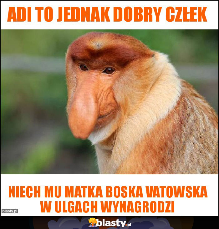 Adi to jednak dobry człek Adi to jednak dobry człek