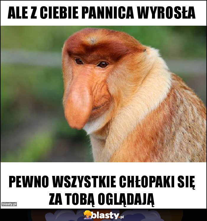 Ale z ciebie pannica wyrosła Ale z ciebie pannica wyrosła