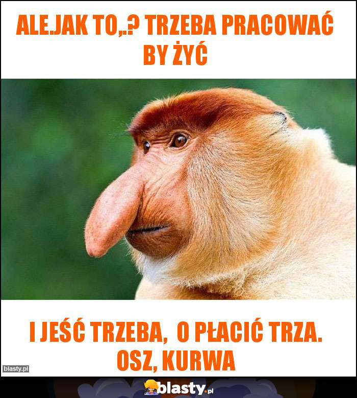 Ale.jak to,.? Trzeba pracować by żyć Ale.jak to,.? Trzeba pracować by żyć