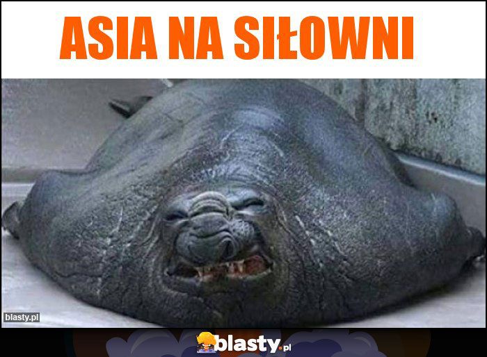 Asia Na Siłowni Asia Na Siłowni