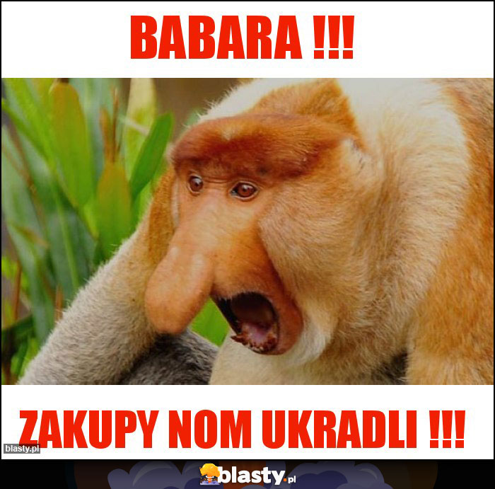 BABARA !!! BABARA !!!