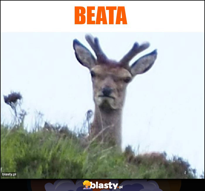 Beata