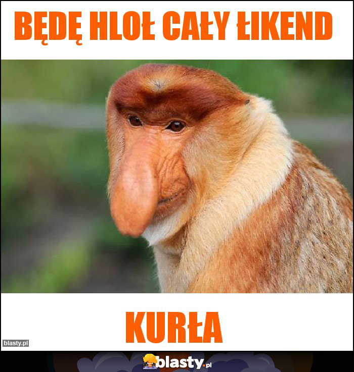 Będę hloł cały łikend Będę hloł cały łikend