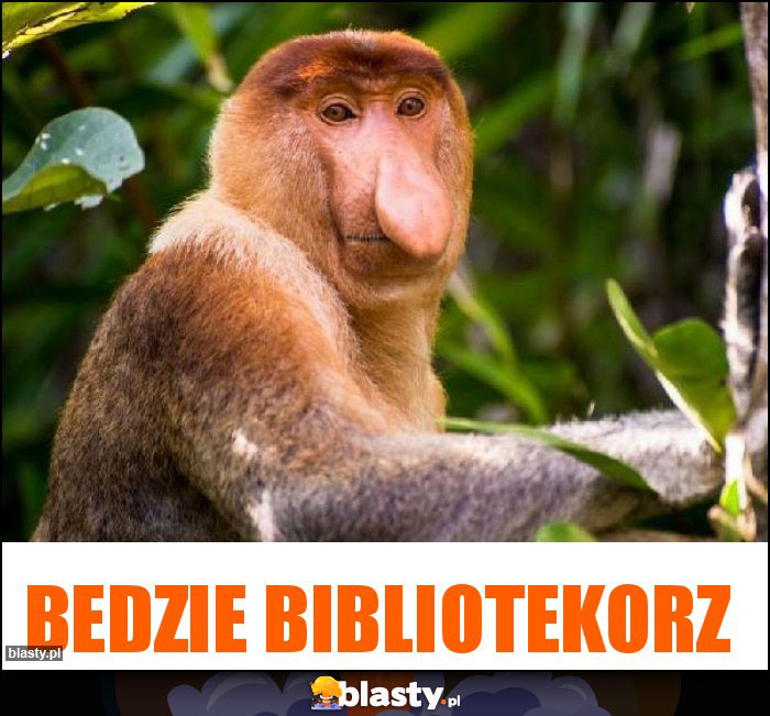 Bedzie bibliotekorz Bedzie bibliotekorz