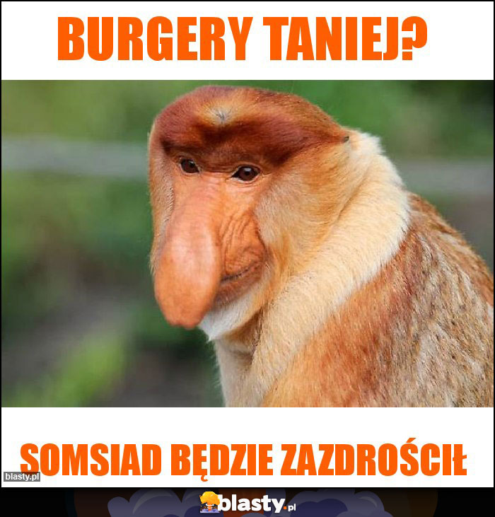 Burgery taniej? Burgery taniej?