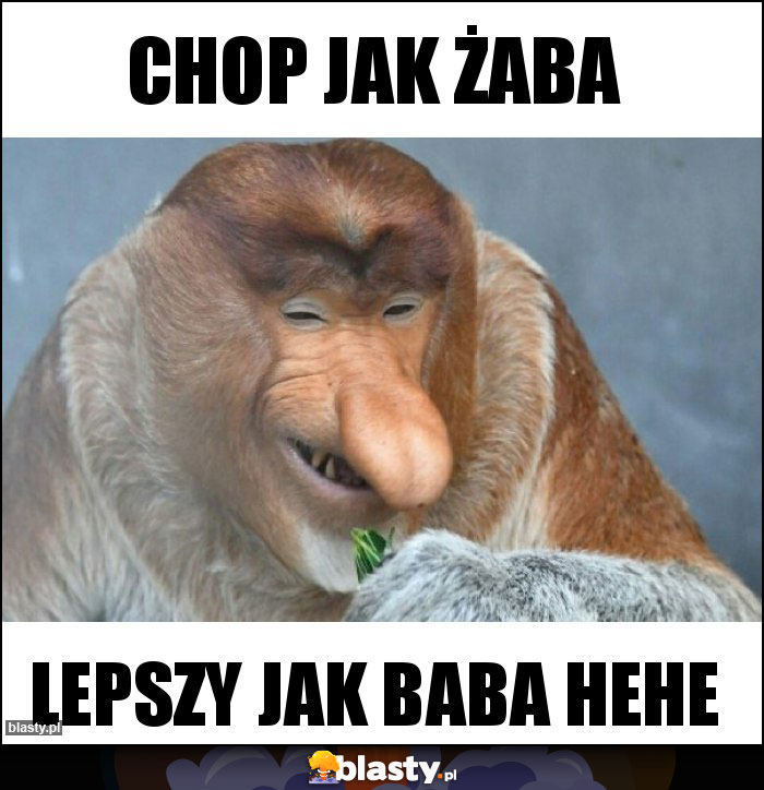 Chop jak żaba Chop jak żaba