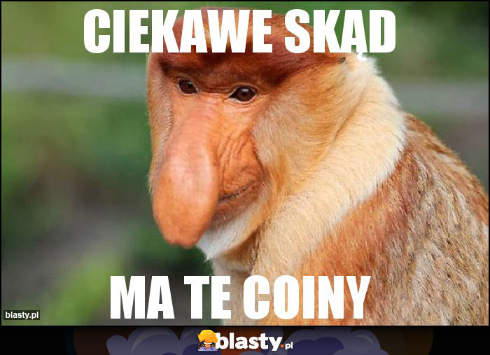 Ciekawe skąd Ciekawe skąd