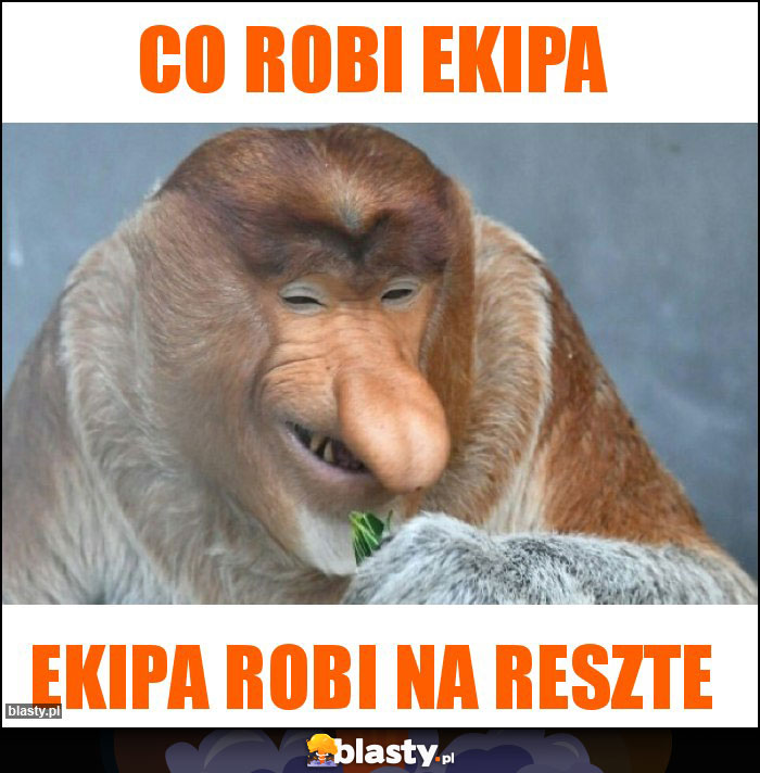 co robi ekipa co robi ekipa