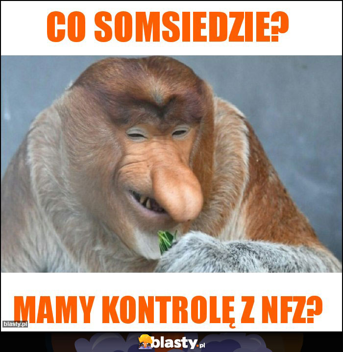 Co somsiedzie?