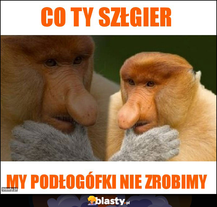 Co Ty szłgier Co Ty szłgier