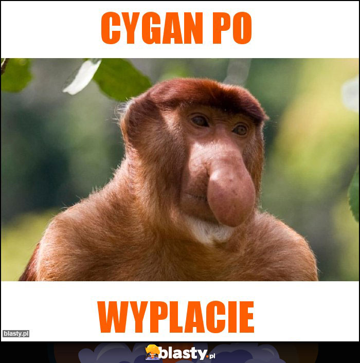 Cygan po