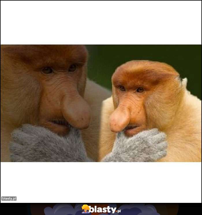 Czy jeżeli szwagier jest moim somsiadem