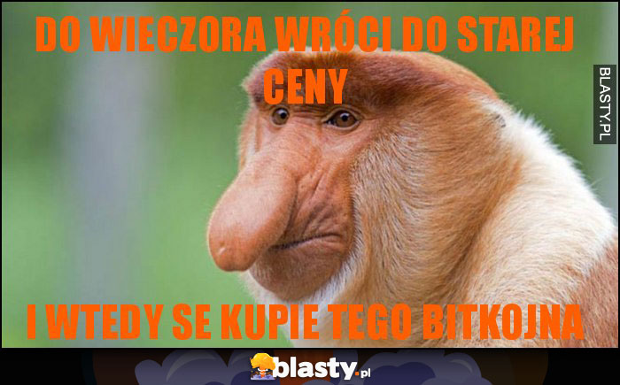 DO WIECZORA WRÓCI DO STAREJ CENY