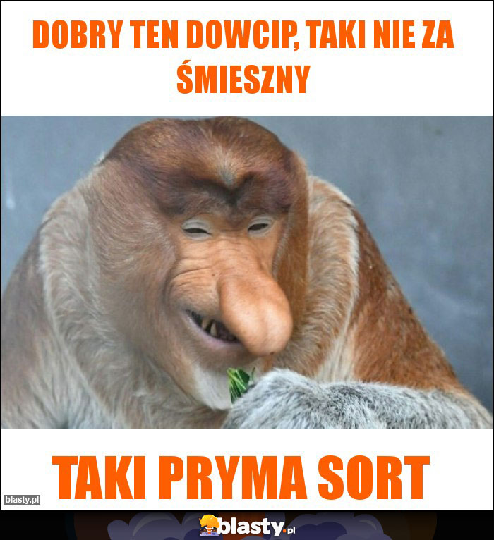 Dobry ten dowcip, taki nie za śmieszny Dobry ten dowcip, taki nie za śmieszny