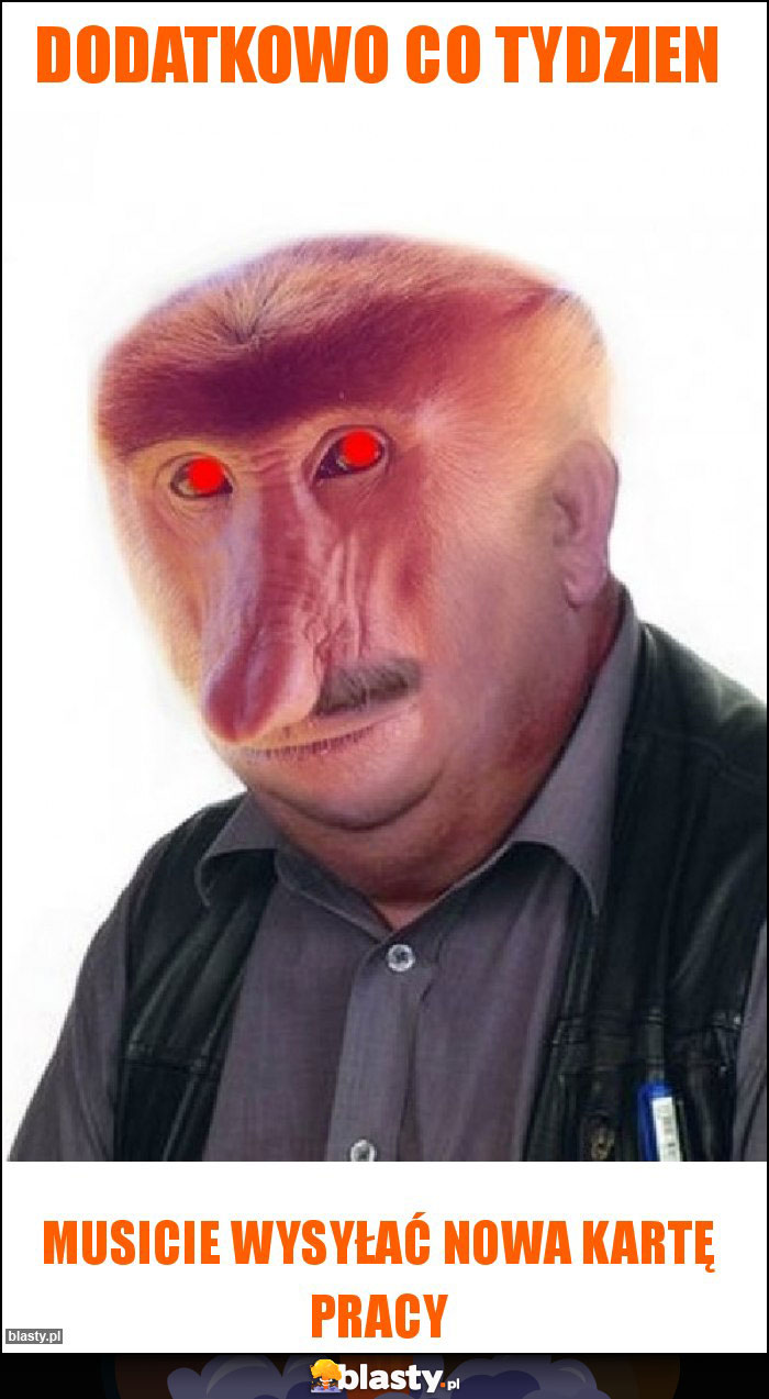 Dodatkowo co tydzien Dodatkowo co tydzien