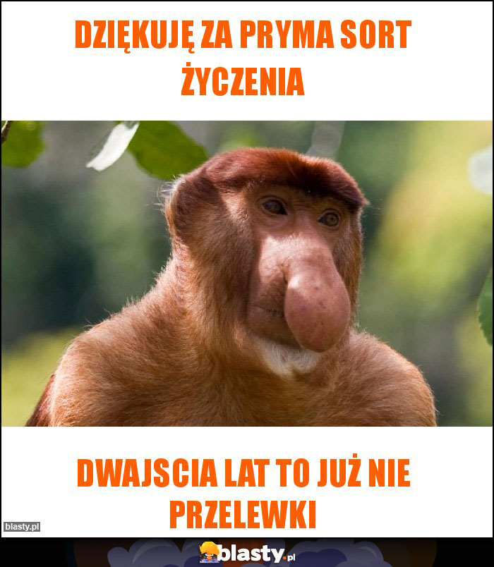 Dziękuję za pryma sort życzenia Dziękuję za pryma sort życzenia