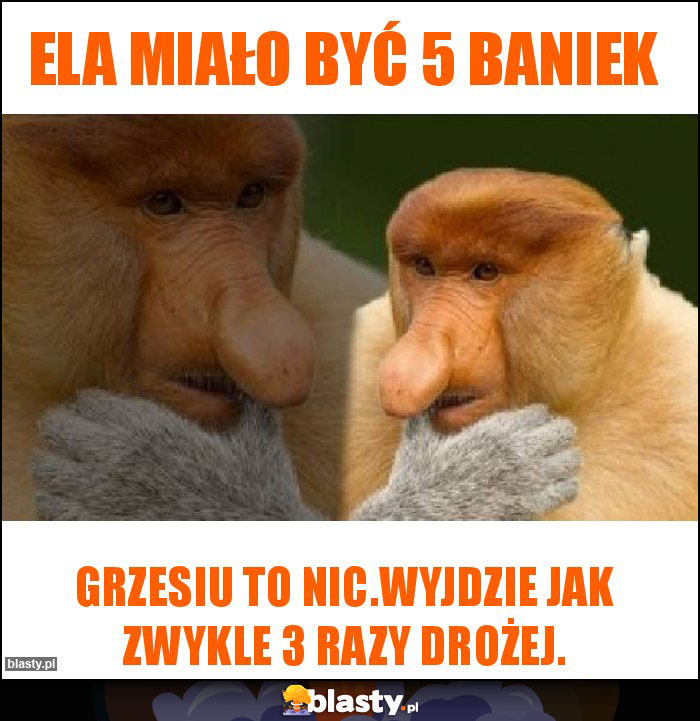 ELA MIAŁO BYĆ 5 BANIEK ELA MIAŁO BYĆ 5 BANIEK
