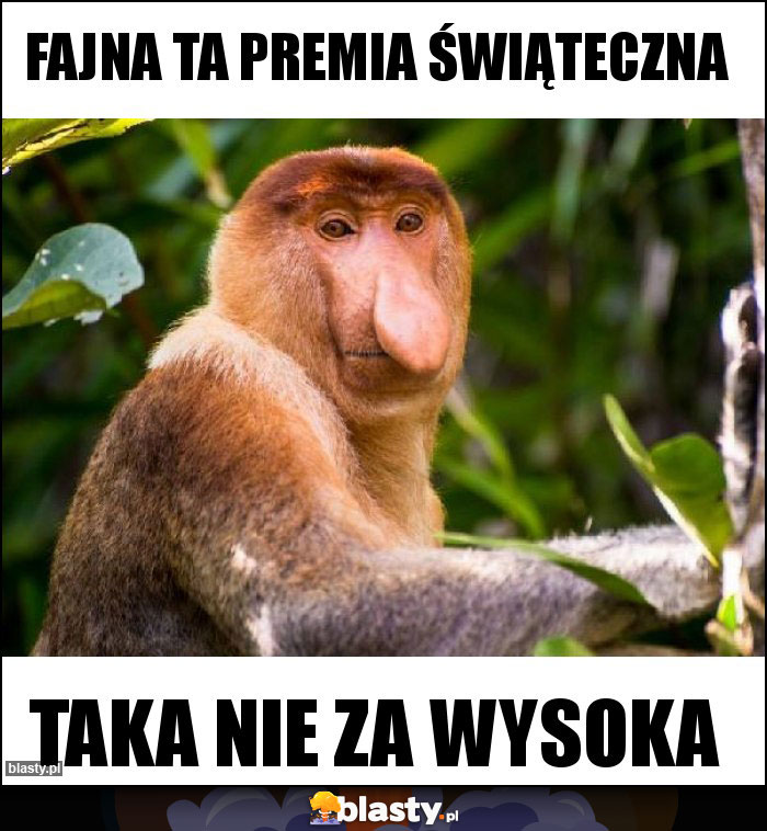 Fajna ta premia świąteczna Fajna ta premia świąteczna