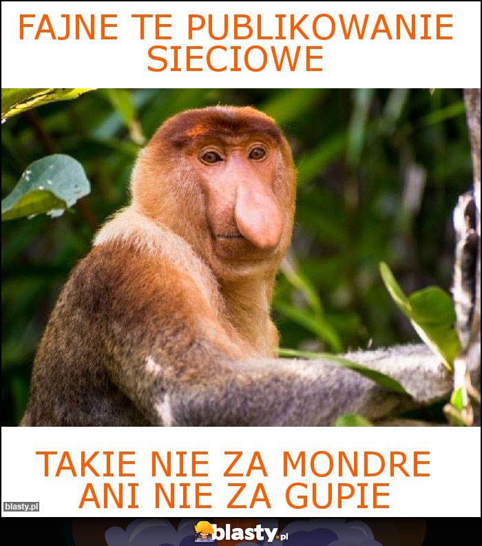 Fajne te publikowanie sieciowe Fajne te publikowanie sieciowe