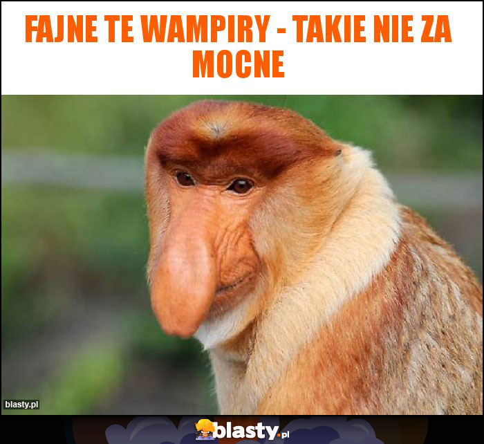 Fajne te wampiry - takie nie za mocne Fajne te wampiry - takie nie za mocne