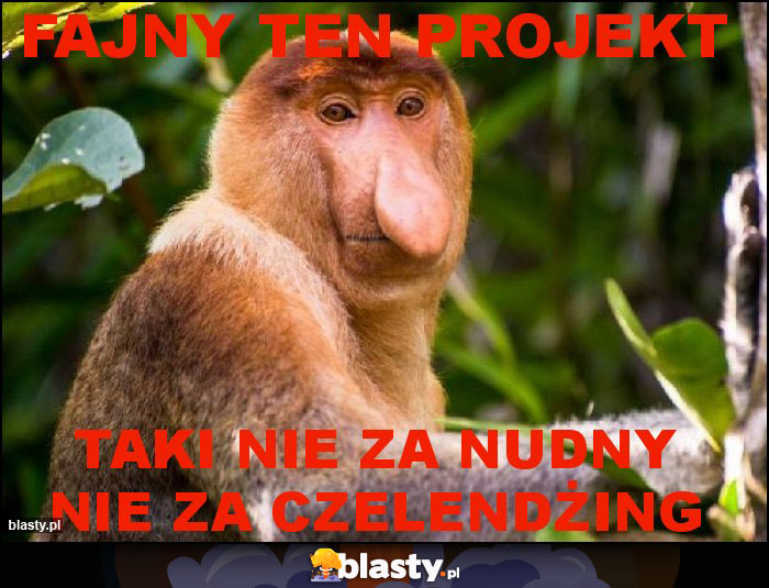 FAJNY TEN PROJEKT FAJNY TEN PROJEKT