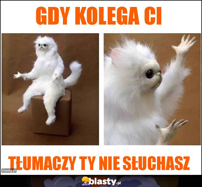 gdy kolega ci gdy kolega ci