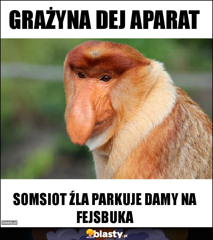 Grażyna dej aparat Grażyna dej aparat