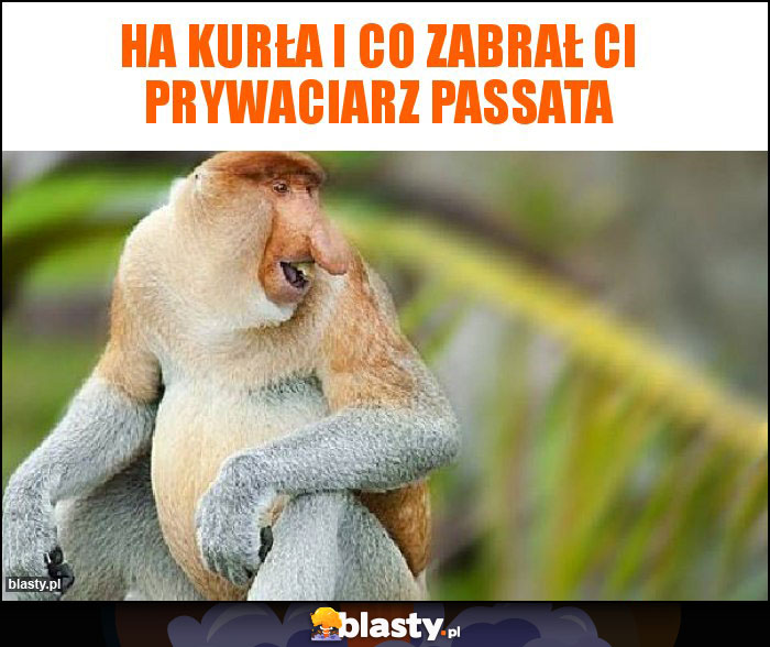 Ha kurła i co zabrał ci prywaciarz Passata Ha kurła i co zabrał ci prywaciarz Passata
