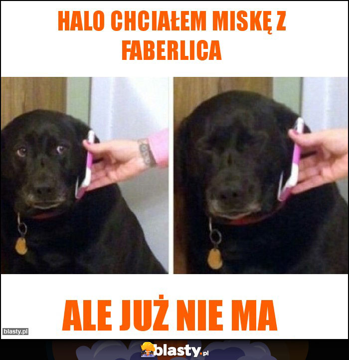 Halo chciałem miskę z faberlica Halo chciałem miskę z faberlica
