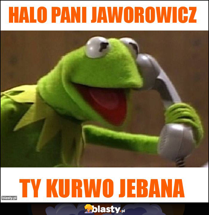 Halo Pani Jaworowicz Halo Pani Jaworowicz