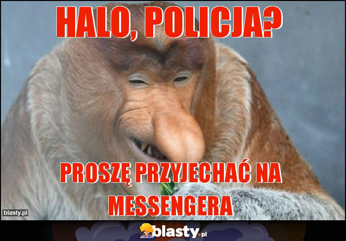 Halo, policja? Halo, policja?