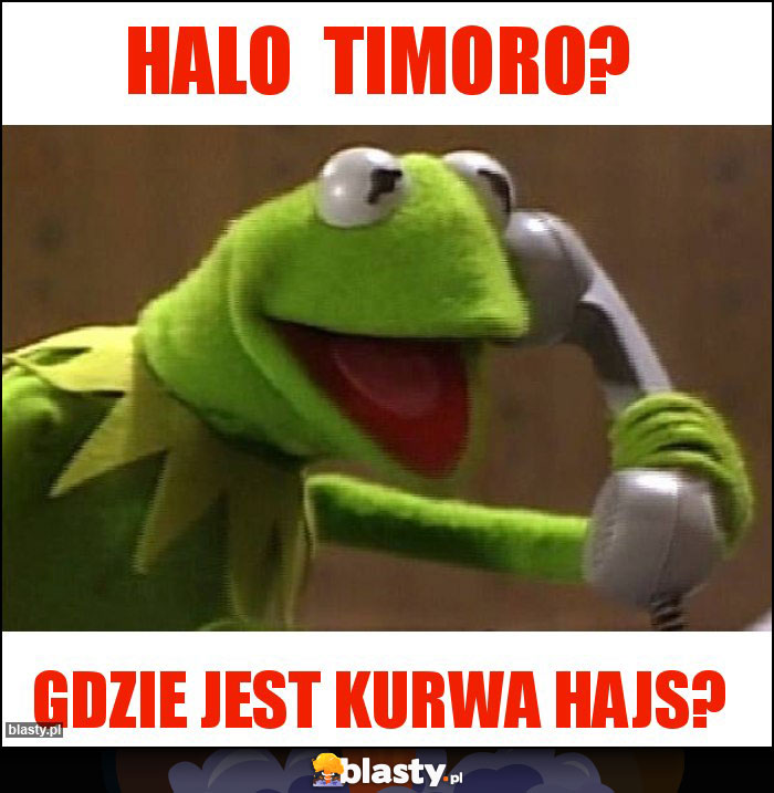 Halo Timoro? Halo Timoro?
