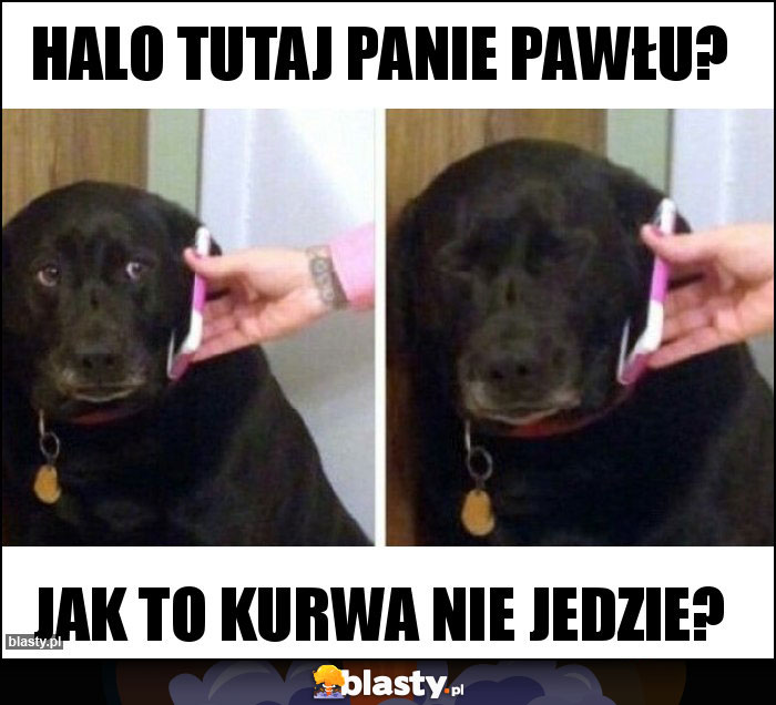 Halo tutaj panie pawłu? Halo tutaj panie pawłu?