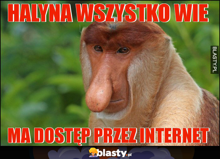 HALYNA WSZYSTKO WIE HALYNA WSZYSTKO WIE