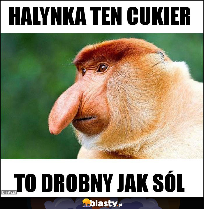 HALYNKA TEN CUKIER HALYNKA TEN CUKIER