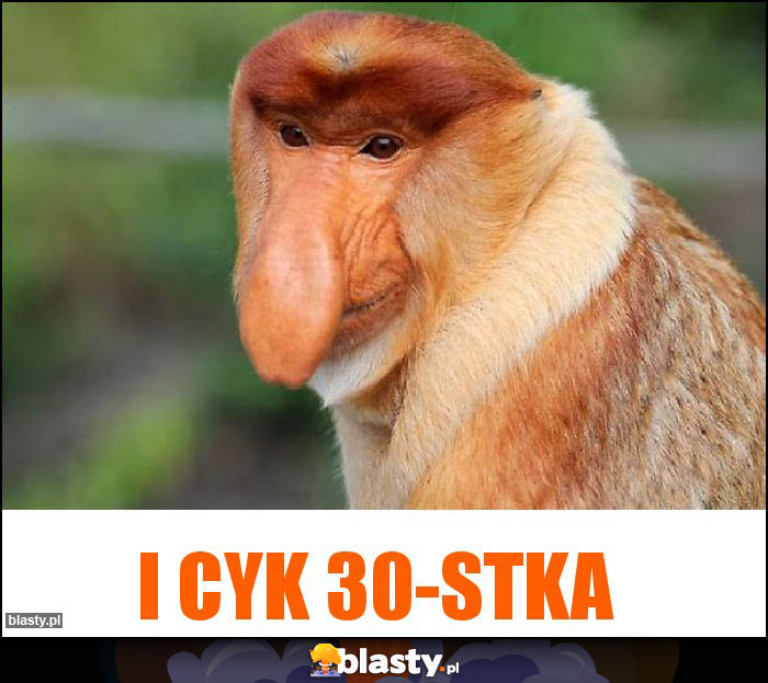 I cyk 30-stka I cyk 30-stka