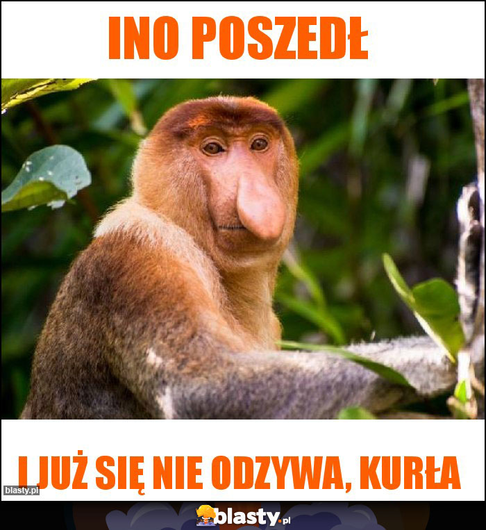 Ino poszedł Ino poszedł