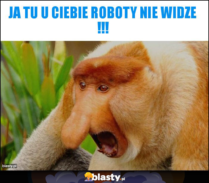 JA TU U CIEBIE ROBOTY NIE WIDZE !!! JA TU U CIEBIE ROBOTY NIE WIDZE !!!